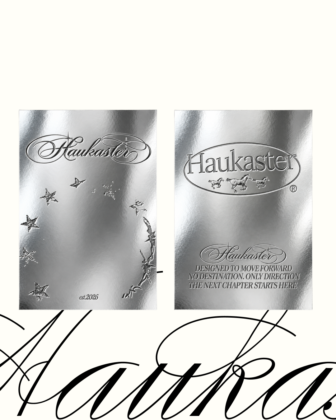 Печатные материалы Haukaster