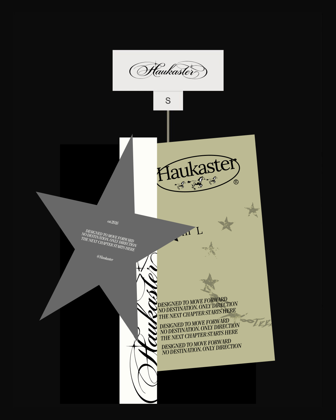 Айдентика бренда Haukaster